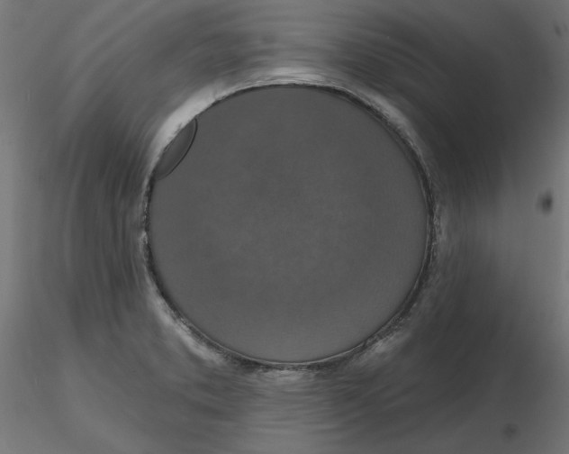 X0000116771373201001071207