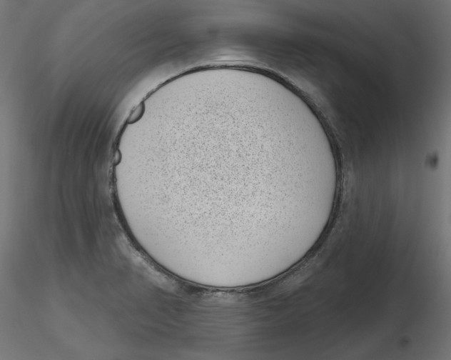 X0000116771374201001071207