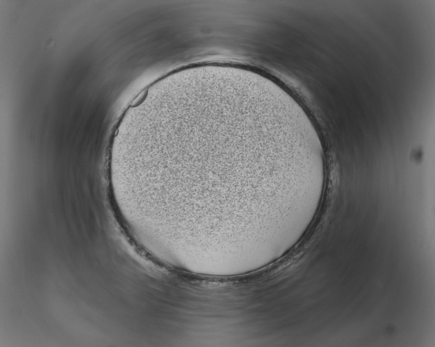 X0000116771375201001071207