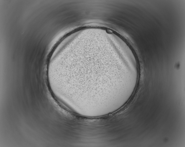 X0000116771376201001071207