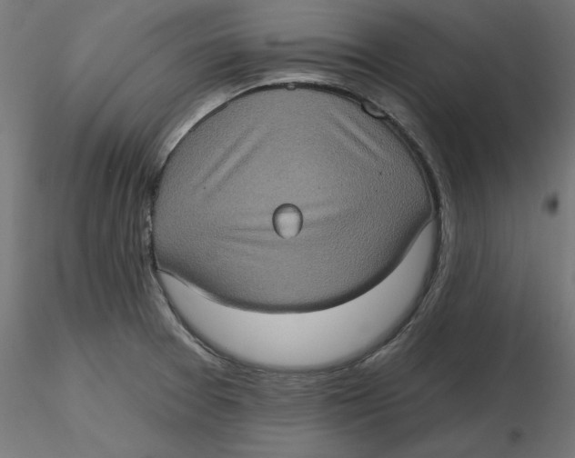 X0000116771377201001071207