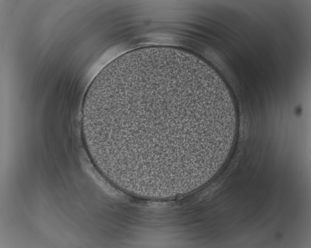 X0000116771378201001071207