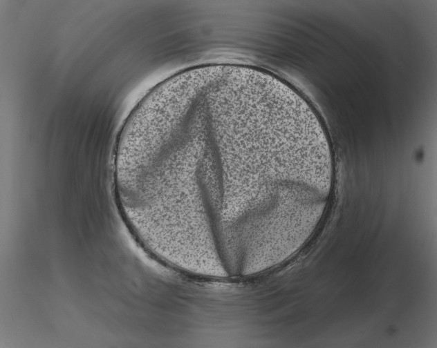 X0000116771379201001071207