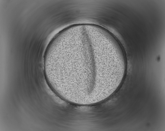 X0000116771380201001071207