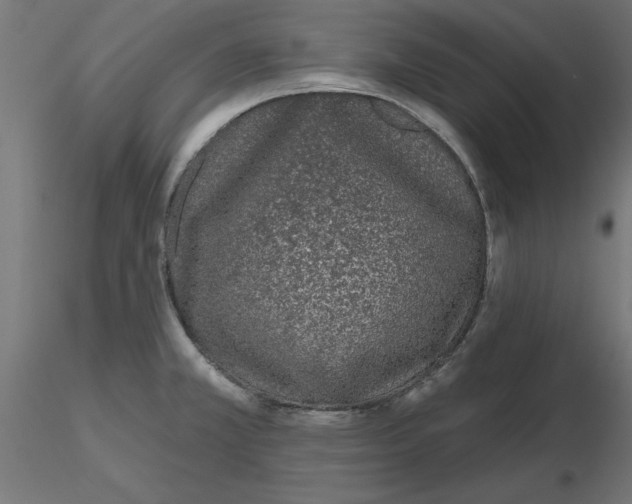 X0000116771381201001071207