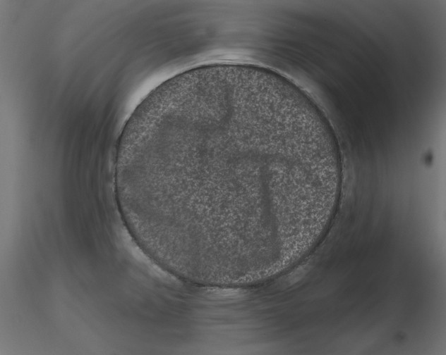 X0000116771382201001071207