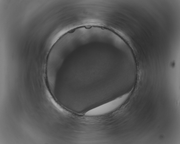 X0000116771383201001071207