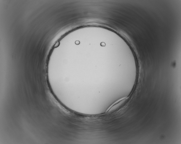 X0000116771384201001071207