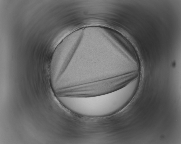 X0000116771385201001071207