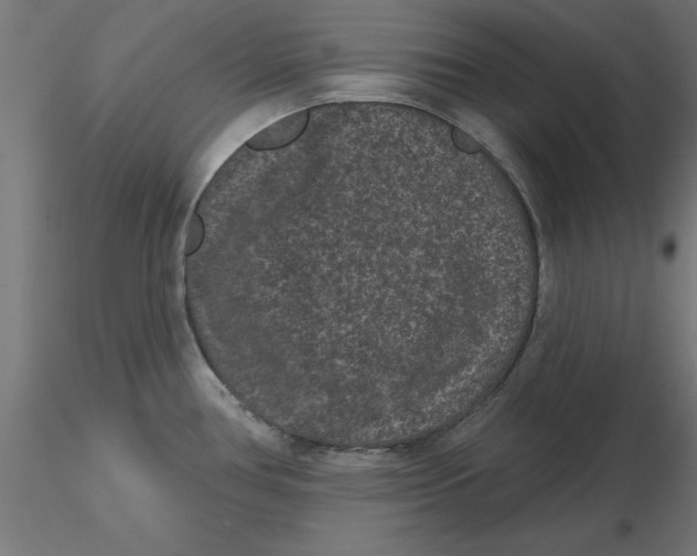 X0000116771386201001071207