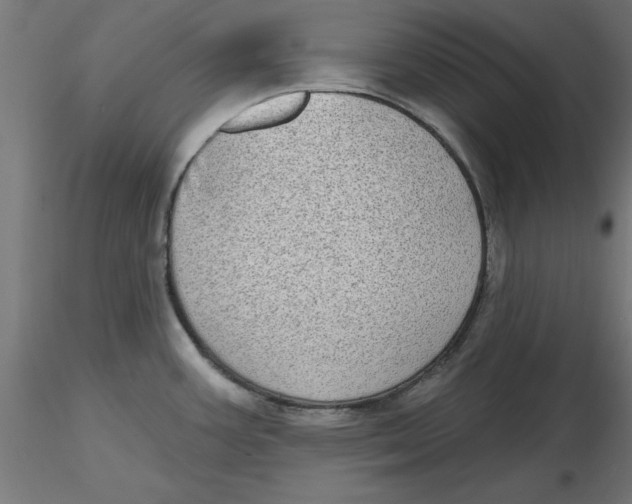 X0000116771387201001071207