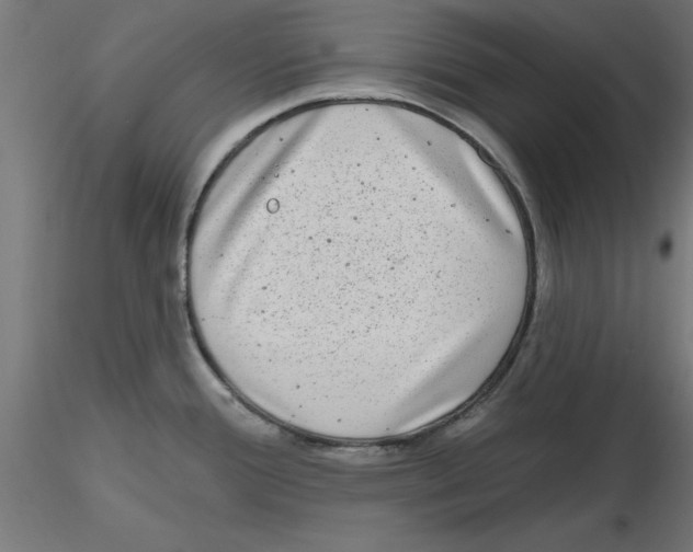 X0000116771388201001071207