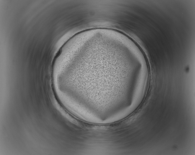 X0000116771389201001071207