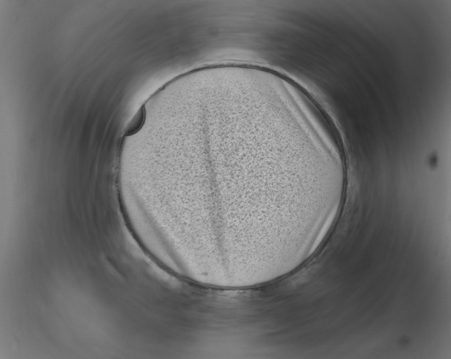 X0000116771390201001071207