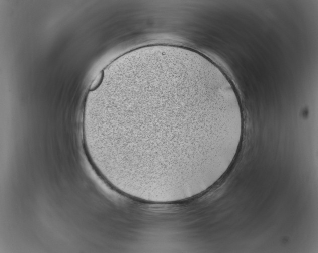 X0000116771391201001071207