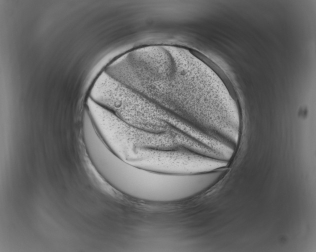 X0000116771392201001071207