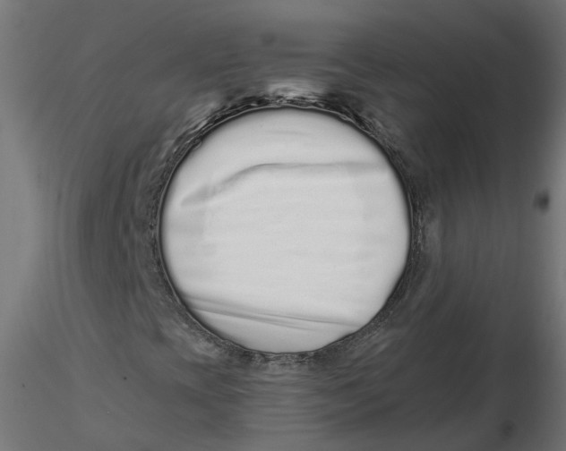 X0000116771393201001071206