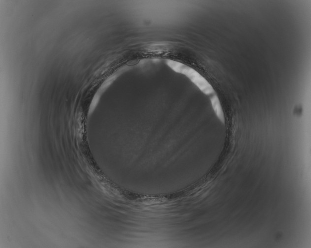 X0000116771394201001071206