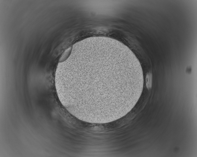 X0000116771395201001071206