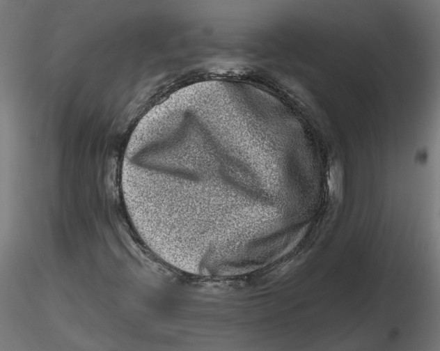 X0000116771396201001071206