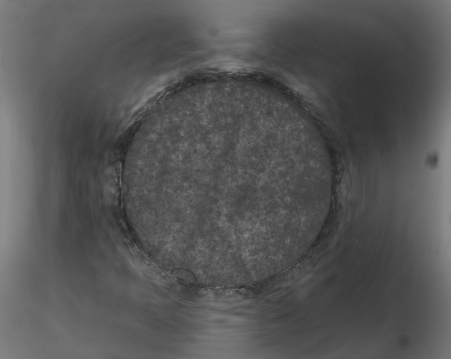 X0000116771397201001071206