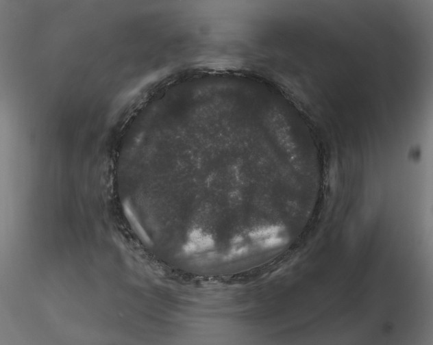 X0000116771398201001071206