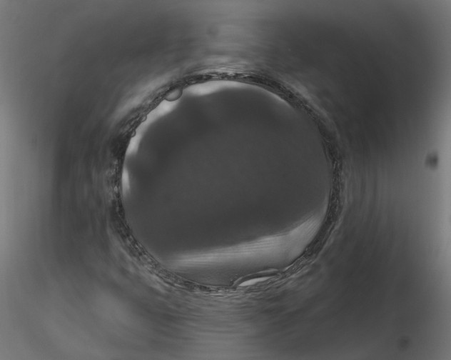 X0000116771399201001071206