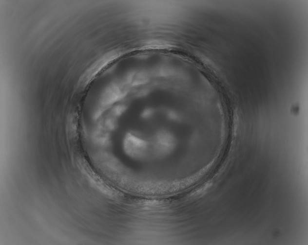 X0000116771401201001071206