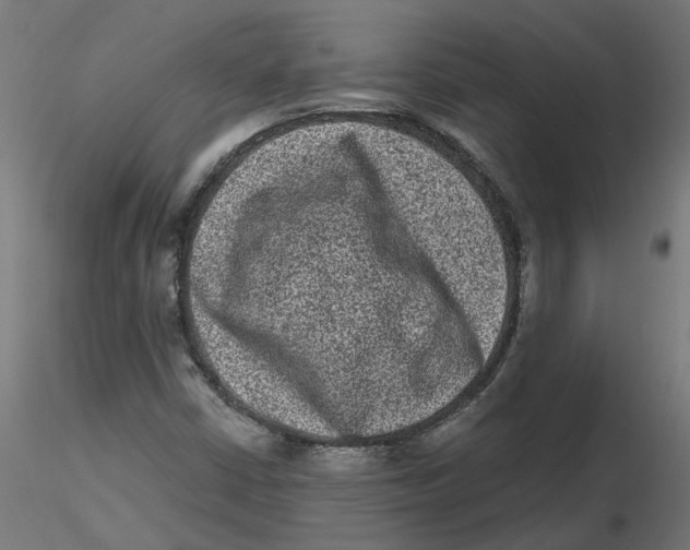 X0000116771402201001071206