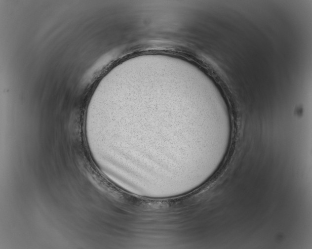 X0000116771403201001071206