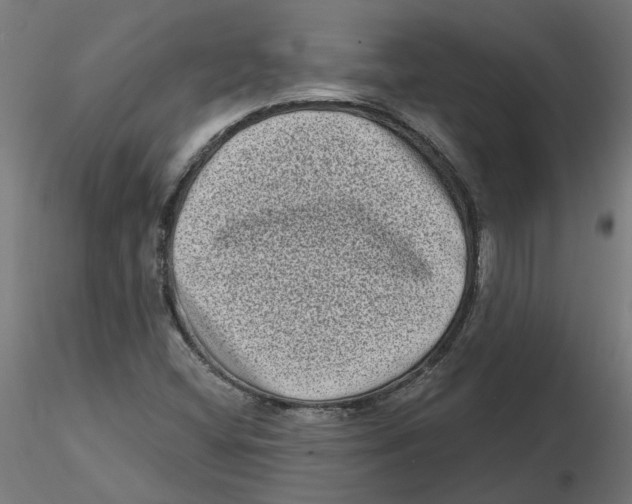 X0000116771404201001071206