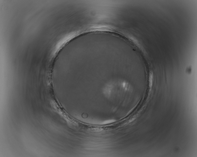 X0000116771405201001071206