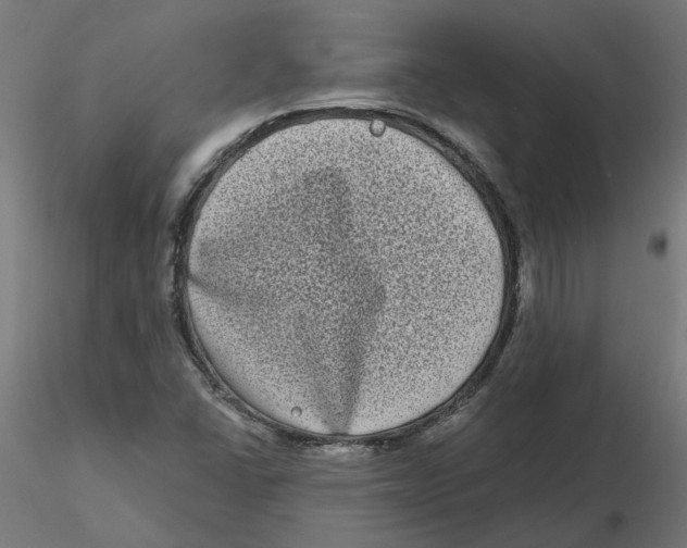 X0000116771406201001071206