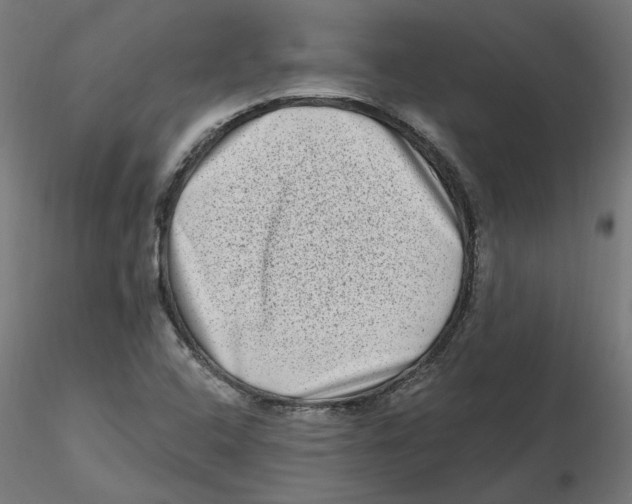 X0000116771408201001071206