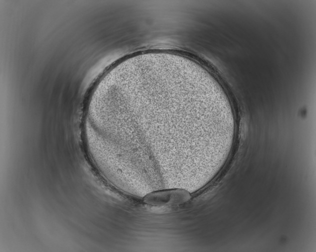 X0000116771410201001071206