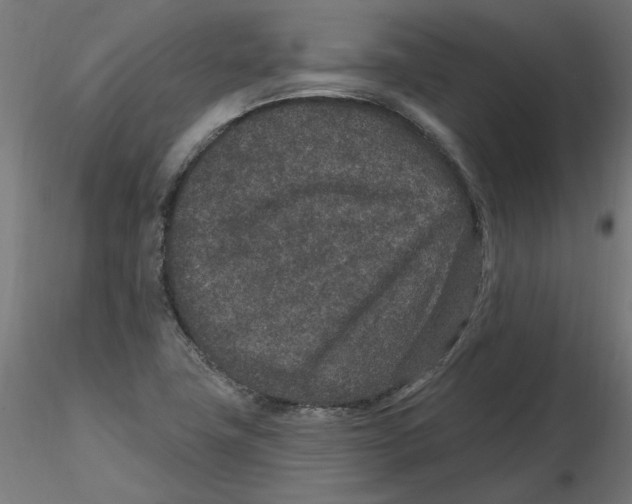 X0000116771411201001071206