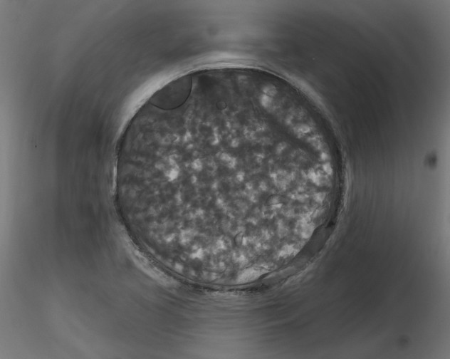 X0000116771413201001071206