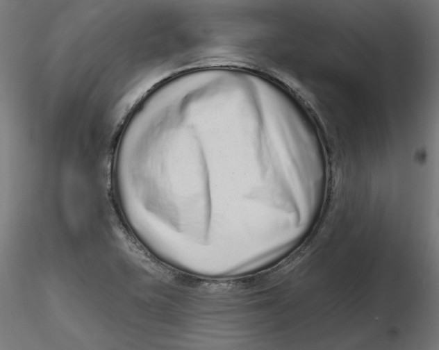 X0000116771415201001071206