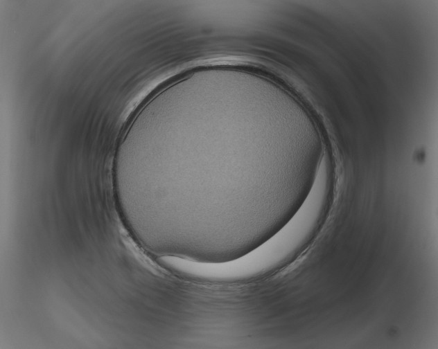 X0000116771417201001071207