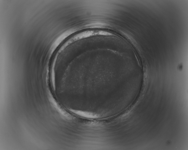 X0000116771418201001071207