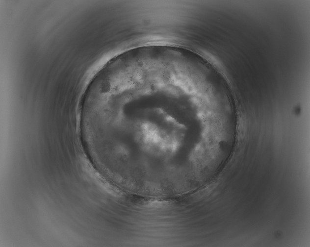 X0000116771419201001071207