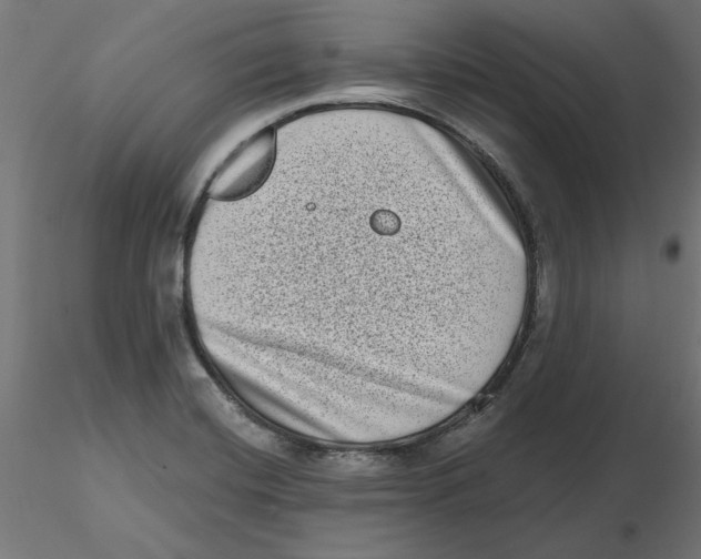 X0000116771420201001071207