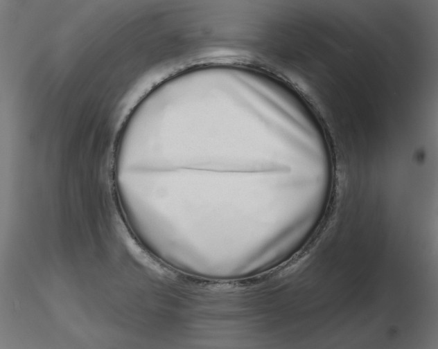 X0000116771421201001071207