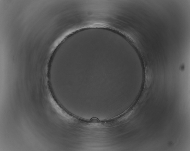 X0000116771422201001071207