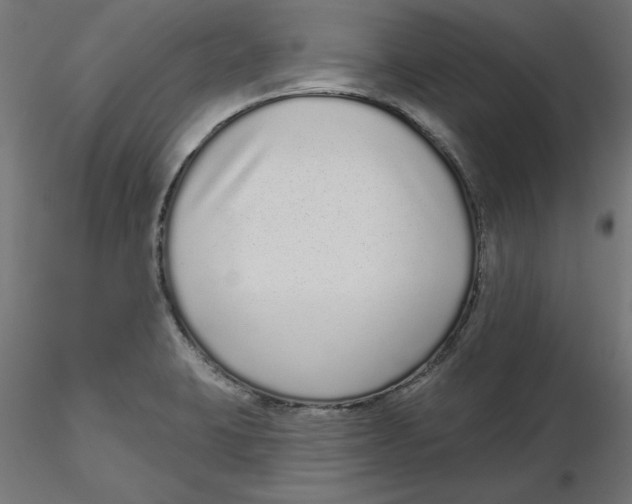 X0000116771423201001071207