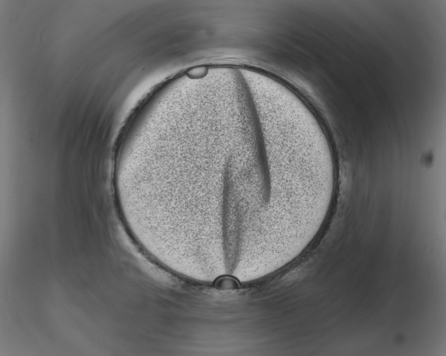 X0000116771424201001071207