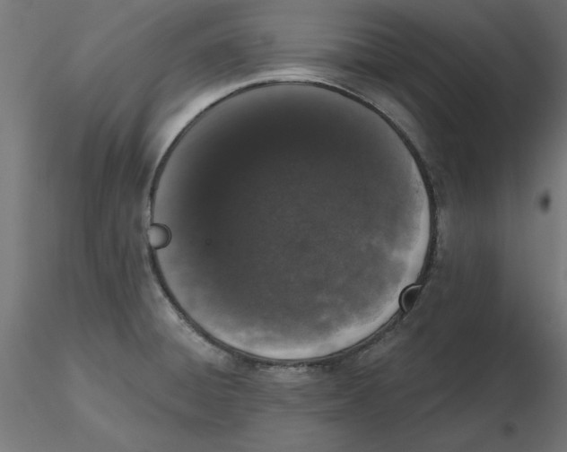 X0000116771428201001071207