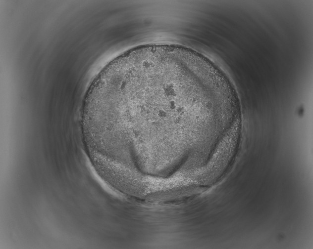 X0000116771429201001071207