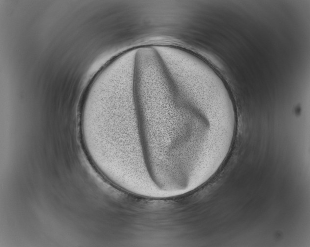 X0000116771430201001071207