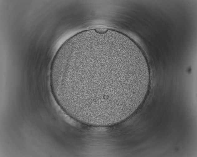 X0000116771431201001071207